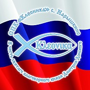 Вознесенский район